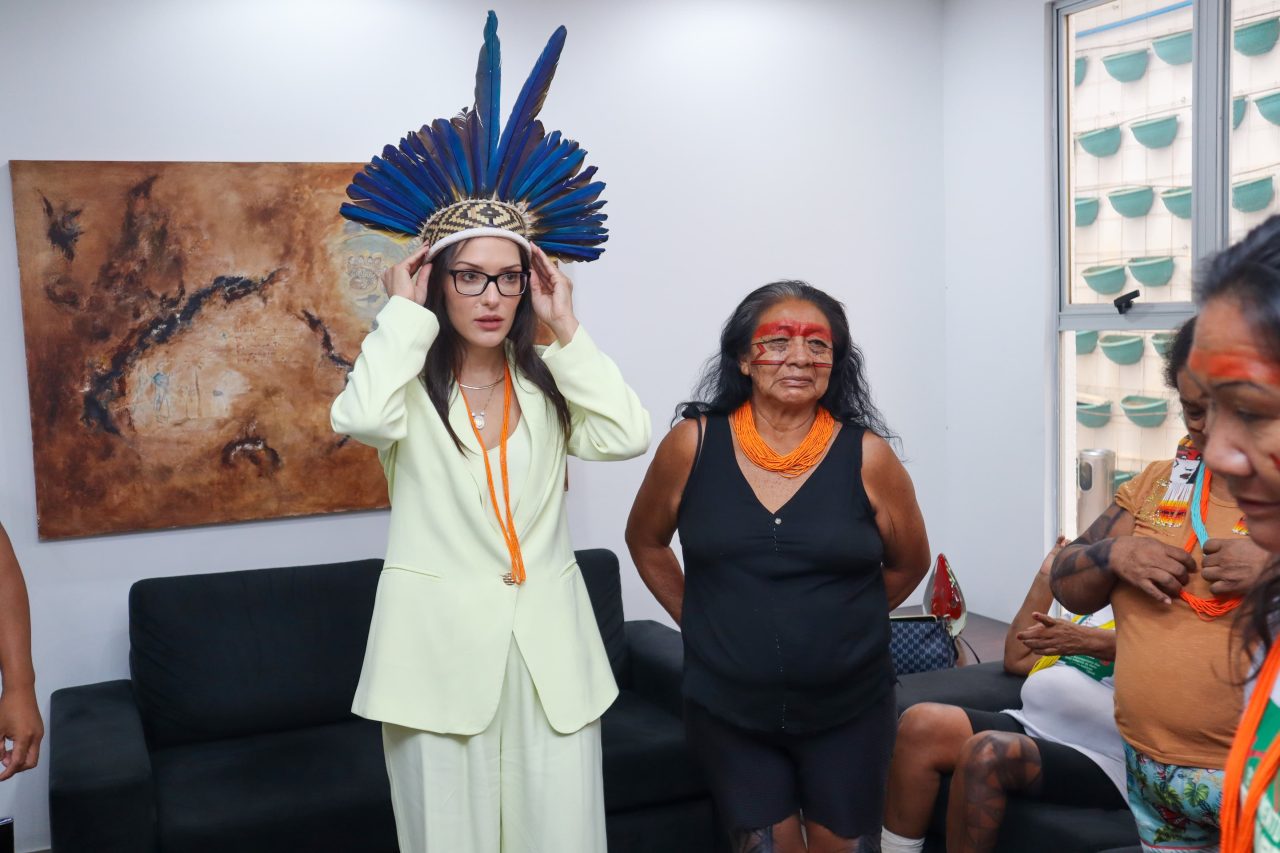 Janaina Riva apresenta projeto que reconhece oficialmente as línguas indígenas em Mato Grosso