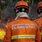 Corpo de Bombeiros realiza Congresso Internacional de Gestão de Incêndios Florestais a partir de segunda-feira (16)