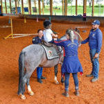 Cuiabá passa a oferecer tratamento de equoterapia a pacientes do SUS