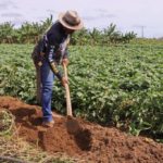Máquinas entregues pelo Governo de MT facilitam o trabalho da agricultura familiar